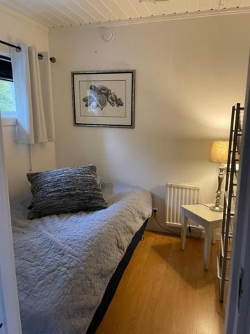 Lillhuset Norr Saelens By别墅 外观 照片